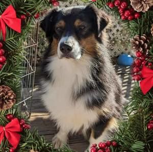 Meet your Posher, Jan